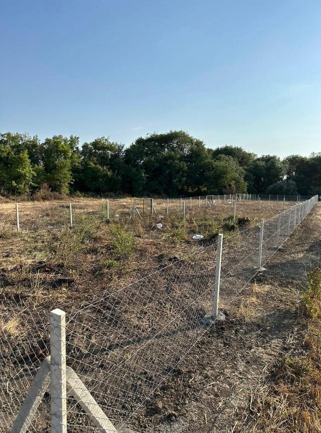 Kırklareli Düğüncübaşı 390m2 Çaplı Muvafakatnameli Kupon Arsa 5