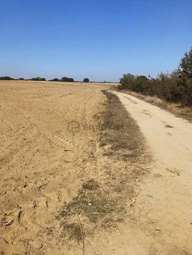 Köşe Başı İki Yola Cepheli Emsalsiz Tarla 2