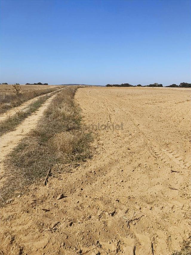 Köşe Başı İki Yola Cepheli Emsalsiz Tarla 4