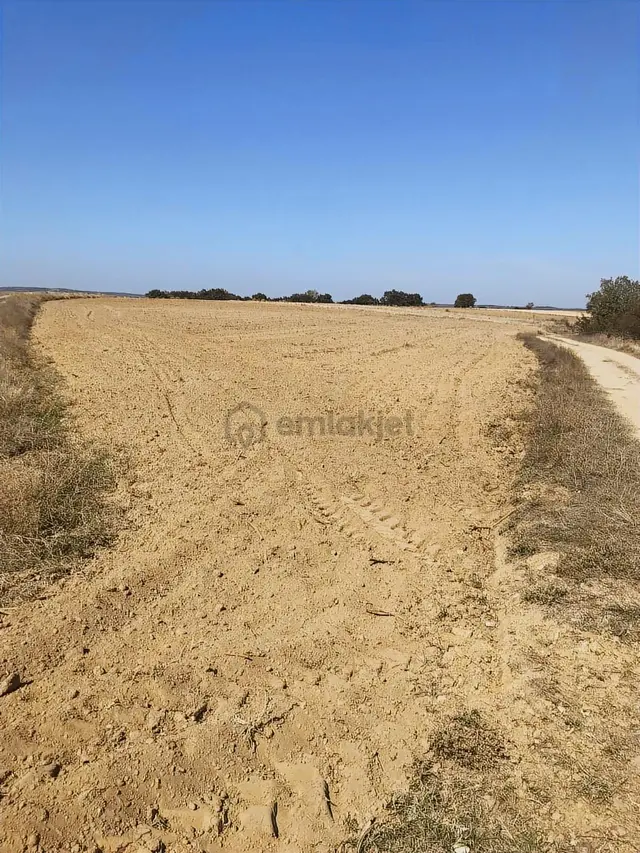 Köşe Başı İki Yola Cepheli Emsalsiz Tarla 3