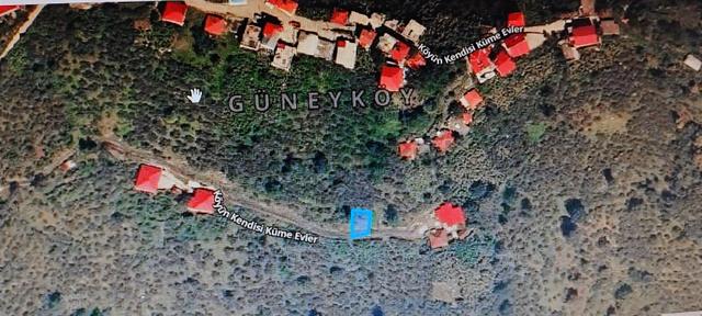 Giresun Görele Güneyköy'de Tek Tapu Fiyatı 3