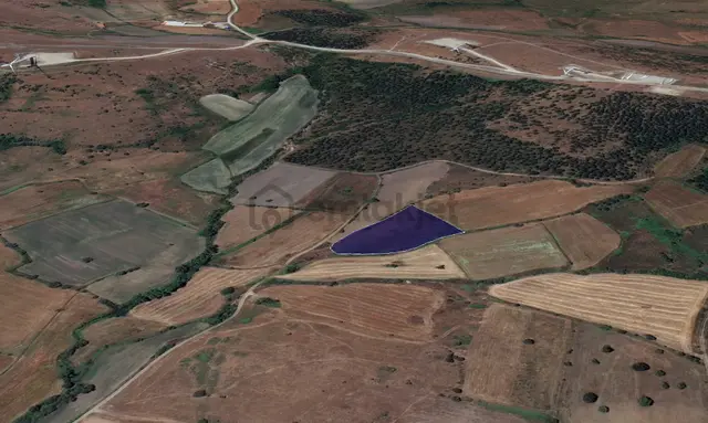 Cb King'den Balıkesir/kürse Mahallesi 6935m² Satılık Tarla 3