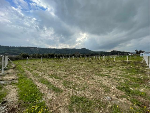 Salbaş Merkezde 416 M2 Tel İle Çevrili Satılık Arsa 5