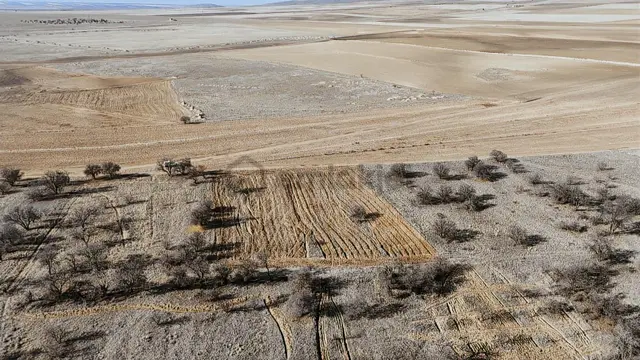 Kadınhanı Başkuyu'da 2.750 M² Müstakil Tarla Resmi Yola Cephe 5
