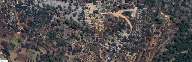 Goldhouse Dan Satılık Dalaman Da 802 M2 Tarla 3