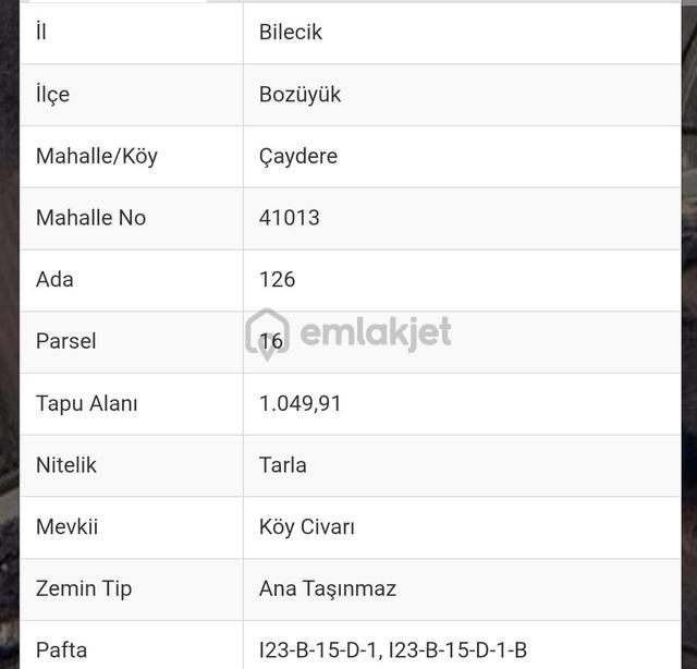Bozüyük Çaydere'de Yatırımcıyauyguntarla 4