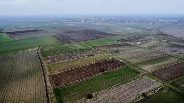 Tekirdağ Saray Kadıköy Bağ Yeri 2
