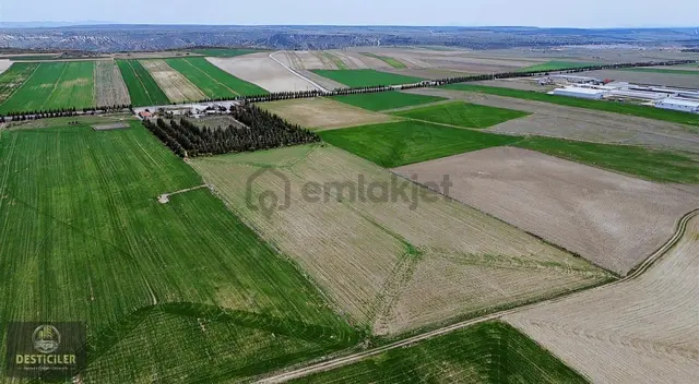 Akpınar'da 72.745m2 Yola Cephe | Ticari Ruhsat Alınabilir 4
