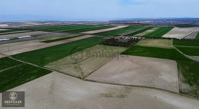 Akpınar'da 72.745m2 Yola Cephe | Ticari Ruhsat Alınabilir 3