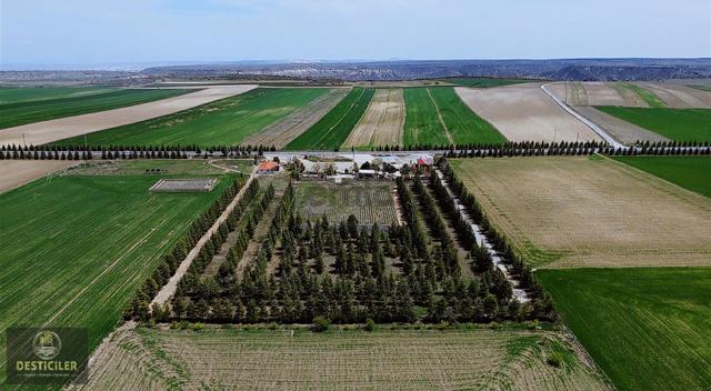 Akpınar'da 72.745m2 Yola Cephe | Ticari Ruhsat Alınabilir 5