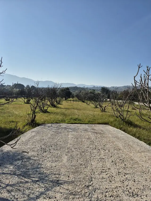 Kuşadası Yeniköy Çınar Kirazlı Bölgesinde Yola Sıfır Arsa 2