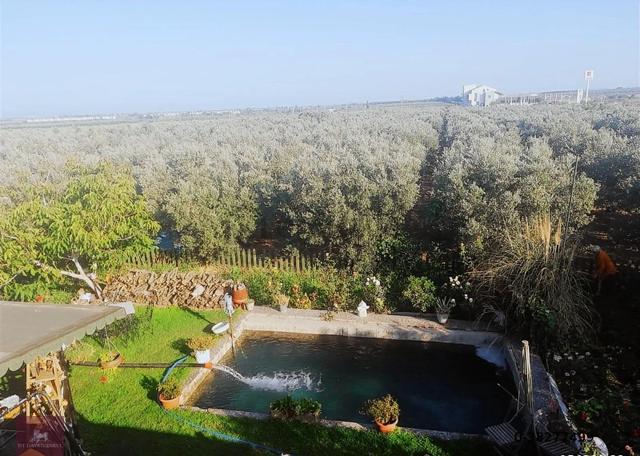 İzmir Dikili'de Satılık 33 Dönüm Zeytinlik Taş Ev, Havuz, 2 Kuyu 4