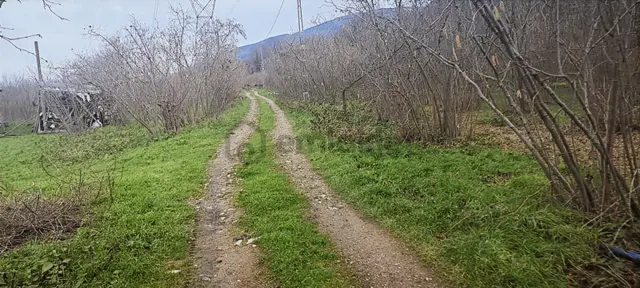 İki Tapu Manzaralı Düz Yol Su Elektrik Üstünde Fındık Var 5