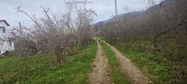 İki Tapu Manzaralı Düz Yol Su Elektrik Üstünde Fındık Var 2
