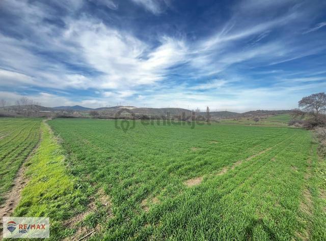Remax Mid Kürse Mah. 8196 M2 Satılık Tarla 3