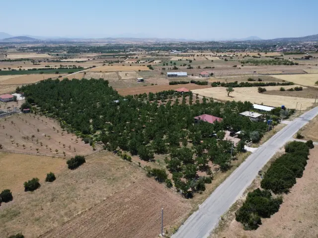 Yeşilyayla'da Satılık 19.759m² Ceviz (chandler) Bahçesi Ve Evi 2