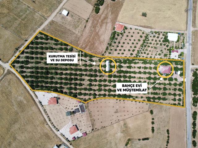 Yeşilyayla'da Satılık 19.759m² Ceviz (chandler) Bahçesi Ve Evi 1