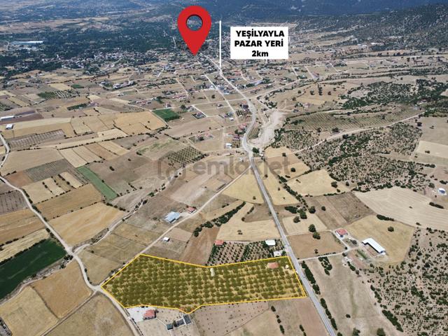 Yeşilyayla'da Satılık 19.759m² Ceviz (chandler) Bahçesi Ve Evi 4