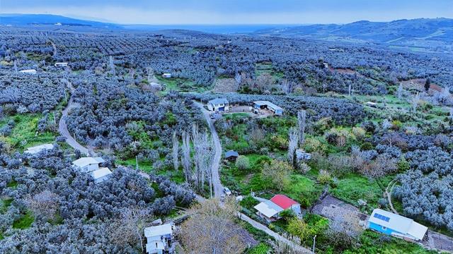 Esen'den Mudanya/yalıçiftlik'te Satılık Resmi Yola Cephe 5