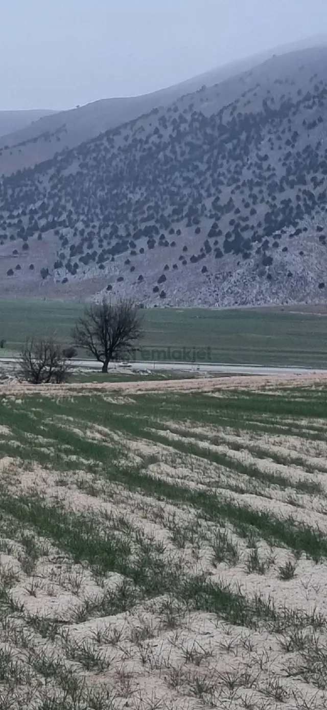 Korkuteli-elmalı Karayolu Üzerinde Sahibinden Satılık Tarla 3