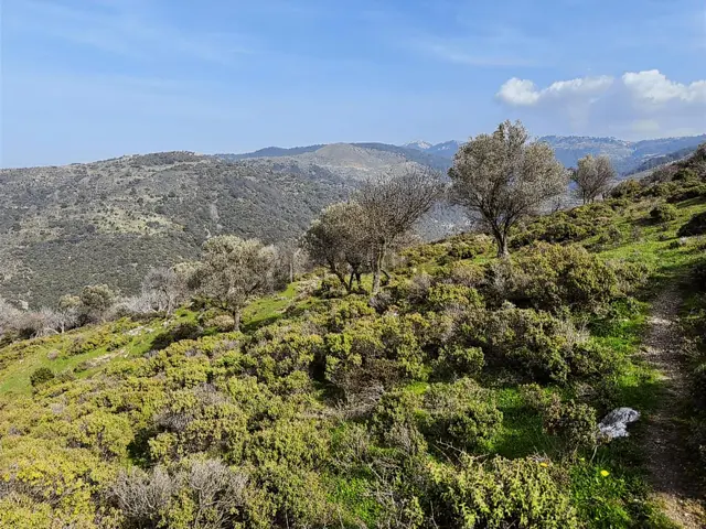 İzmir Güzelbahçe'de Deniz Manzaralı 16.041 M² Satılık Arsa 2