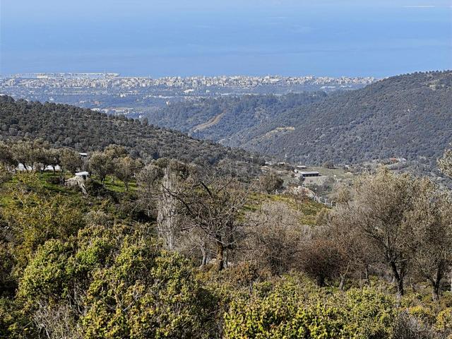 İzmir Güzelbahçe'de Deniz Manzaralı 16.041 M² Satılık Arsa 5