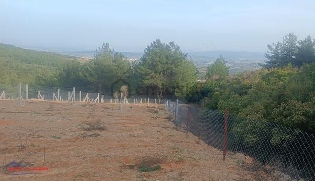Menderes Çatalca'da Satılık Hisse Tapu Tarla 5