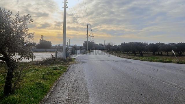 Torbalı Turyaptan Gazi Mustafa Kemal Mah 8274 M2 Bağ Bahçe Tarla 2