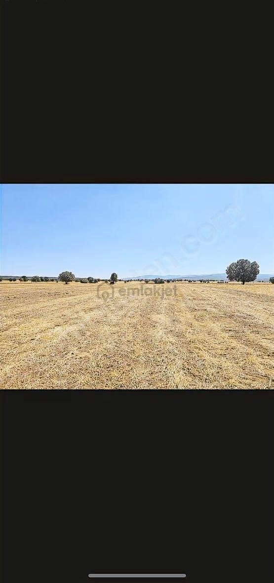 Banaz Susuz Köyünde Uygun 4500m2 Düz Arazi 1