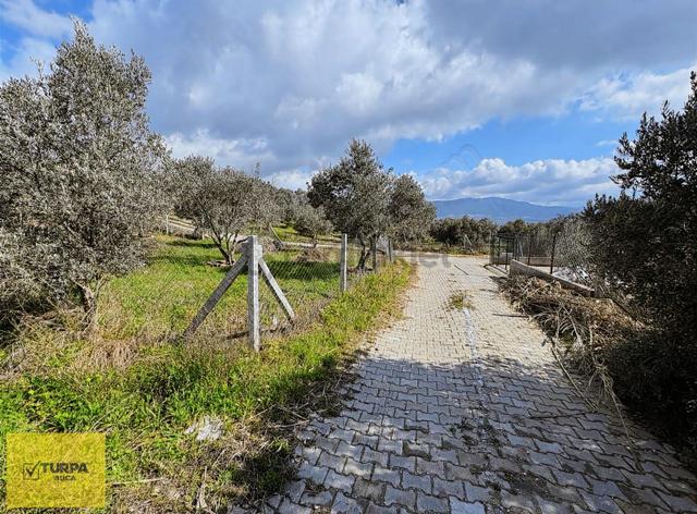 Turpa Buca'dan Çakırbeyliğinde 300 M² Tapulu Yer 5