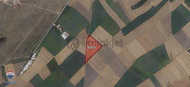 Remax Lavanda'dan Ahımehmet Ergene'de Satılık Tarla 3