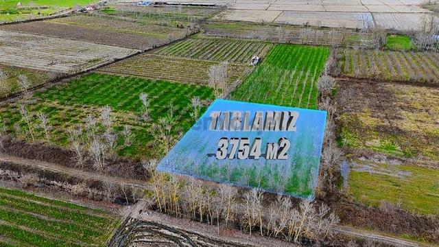 Öz-emmaxdan Terme İmanalisi Köyünde 3754 M2 Satılık Tarla 1