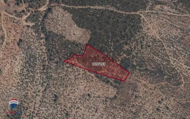 32 Muğla Milas Gürçamlar'da 14688 M2 Satılık Tarla 3