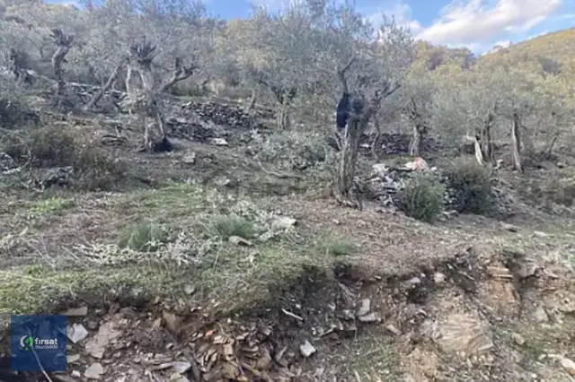 Alırken Kazanmanın Adresi ''fırsat Müzayede'' 3
