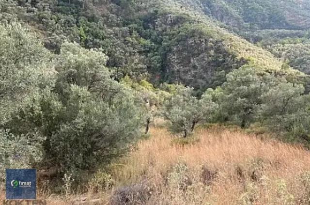 Alırken Kazanmanın Adresi ''fırsat Müzayede'' 2