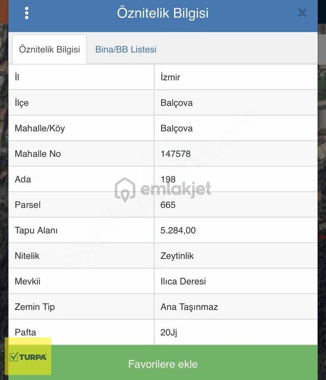 Turpa Balçovadan Kaçırılmaz Yatırım Fırsatı Satılık Zeytinlik 2
