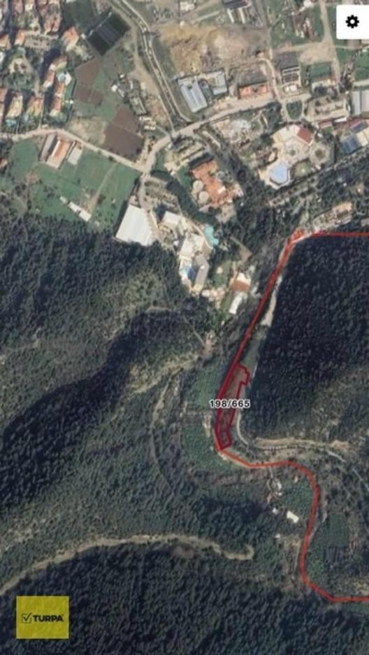 Turpa Balçovadan Kaçırılmaz Yatırım Fırsatı Satılık Zeytinlik 1