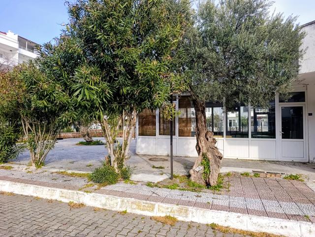 Güre’de Denize 100 Metre Mesafede Tripleks 5+1 Villa 5