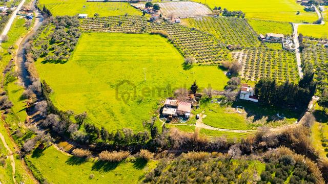 Foça Yenibağarası Mah. Satılık 18 Dönüm Tarla 5