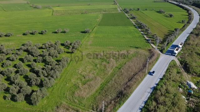 Milas Yakaköy De 14 000 M² Yola Sıfır İmar Sınırında Tarla 2