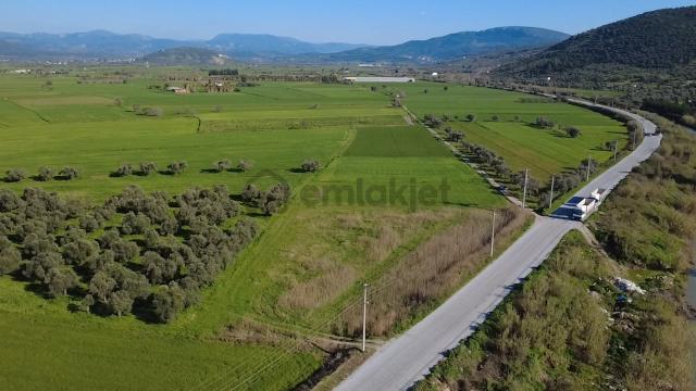 Milas Yakaköy De 14 000 M² Yola Sıfır İmar Sınırında Tarla 4