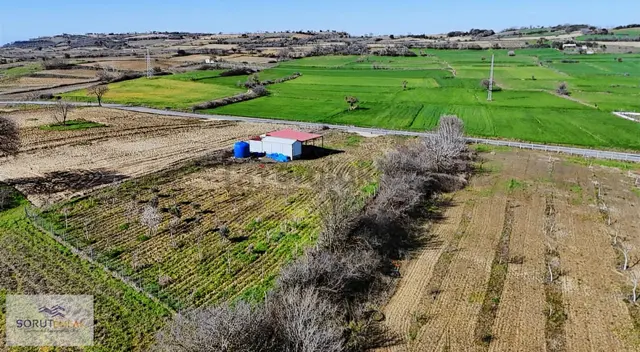 Mecidiye Köyü'nde Satılık 2800m² Fidanlık Ve Yaşam Alanı 4