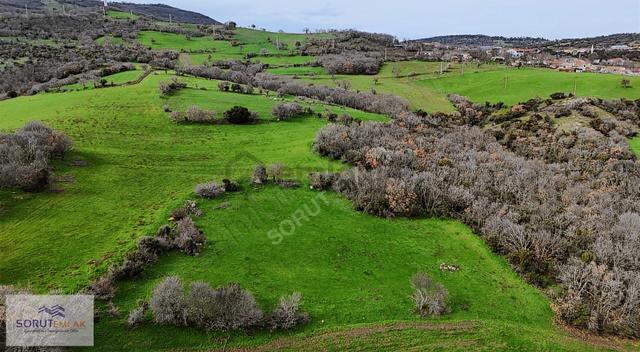 Enez Hisarlı Köyü'nde 38.838 M² Satılık Tarla Ve Çiftlik Evi 4