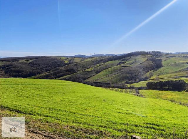 İzmit Kaynarcada 2823m2 Yolu Açık Doğa Manzaralı Tarla 5