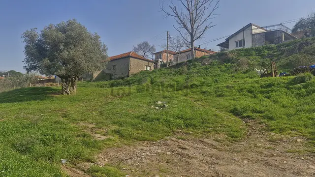 Kemalpaşa Sarılar Köyiçi 425 M² Tapulu Yolu Mevcut Bahçe 3