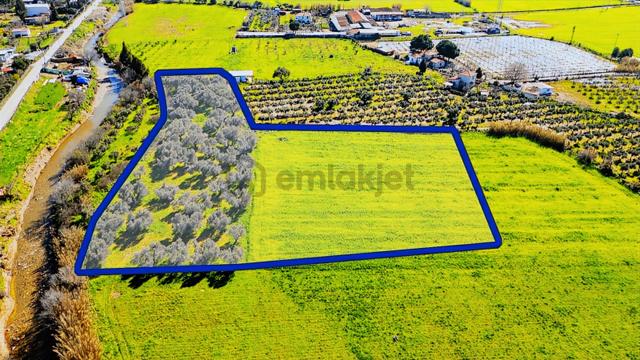 Foça Yenibağarası Mah. Satılık Tarla 3