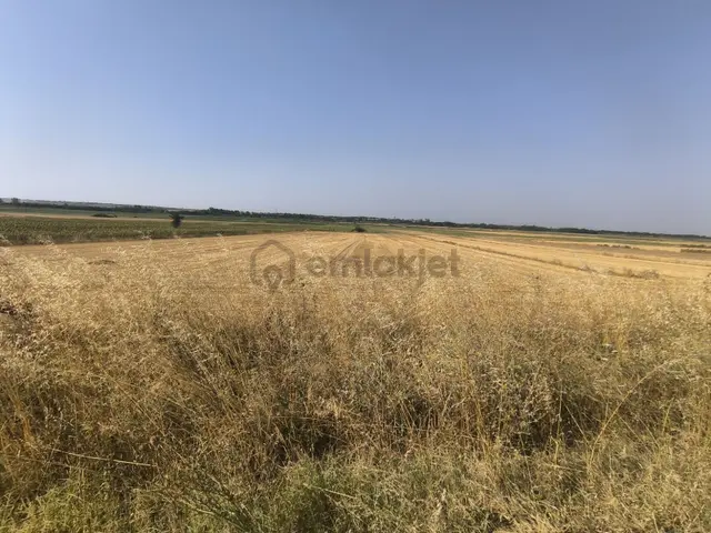 Tekirdağ Hayrabolu Hedeylide Asfalta Cepheli 8.100 M² Yatırımlık 2