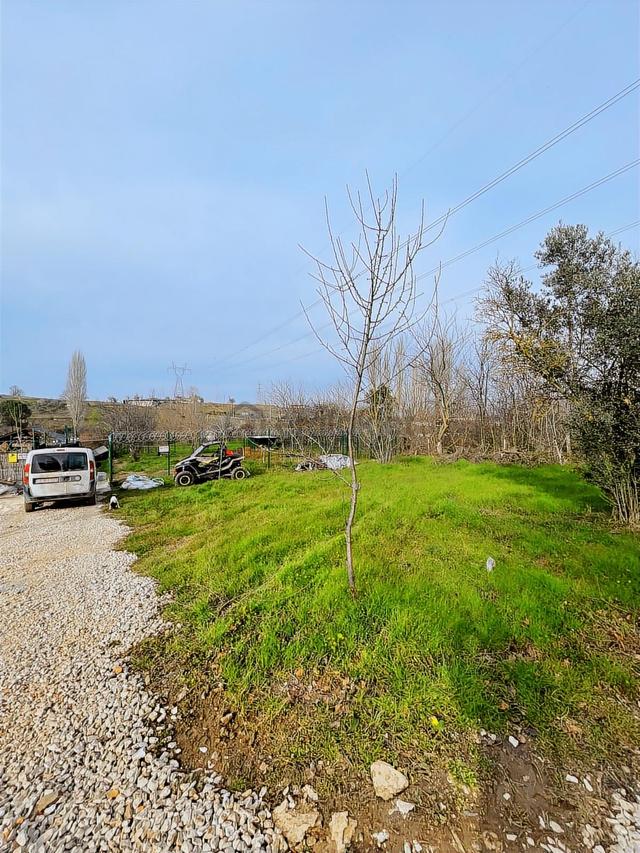 Dağyenice Yatırımlık Veya Hobi Bahçesine Uygun Satılık Tarla 5