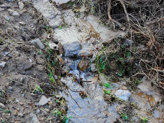 Derin Emlaktan Dereli Mahallesinde Satılık Hobi Bahçesi 2