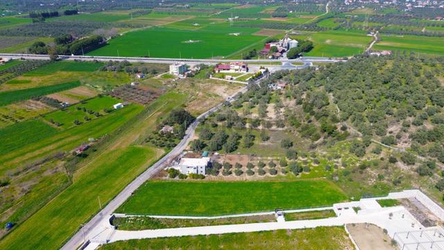 Milas Beçin’de Yola Cepheli 3.220 M² Satılık Tarla 5